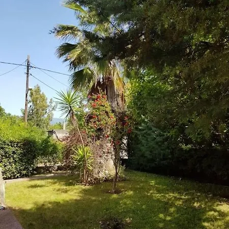 Vicky - Traditional In Evia *