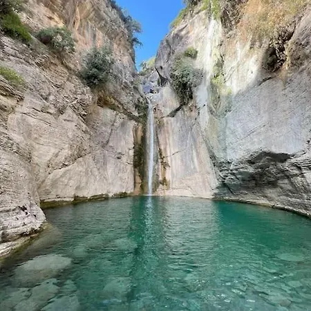 Vicky - Traditional In Evia Orologion