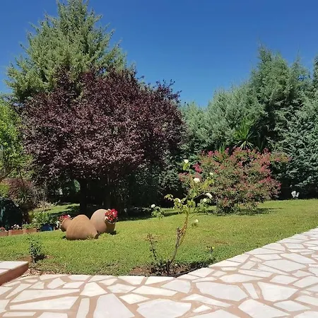 Villa Vicky - Traditional In Evia