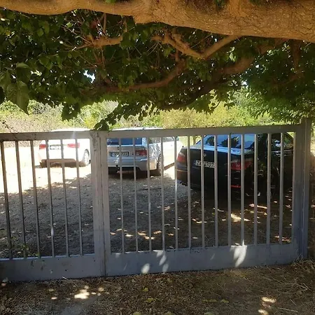 Villa Vicky - Traditional In Evia *