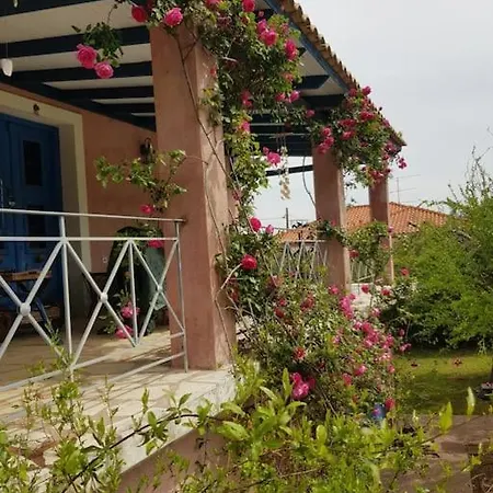 Vicky - Traditional In Evia