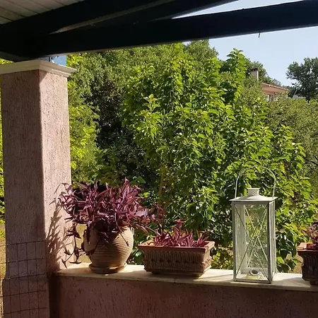 Villa Vicky - Traditional In Evia *