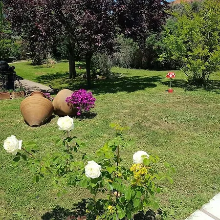 Villa Vicky - Traditional In Evia *