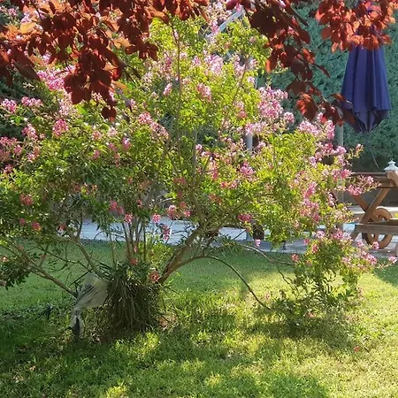 Vicky - Traditional In Evia Villa Orologion