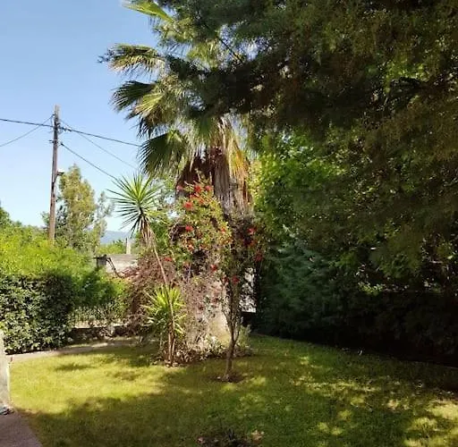 Vicky - Traditional In Evia *