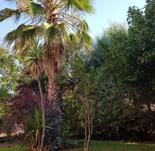 Vicky - Traditional In Evia Orologion