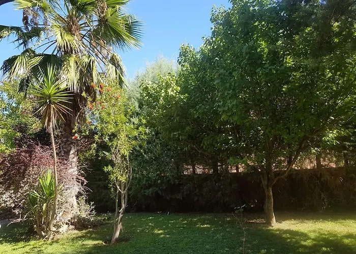 Vicky - Traditional In Evia Villa *