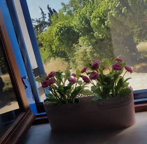 Vicky - Traditional In Evia Orologion